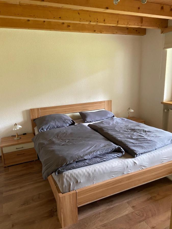 Ferienwohnung Im Herzen Graubuendens Surava 외부 사진